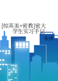 [综英美] 密大学生实习手记